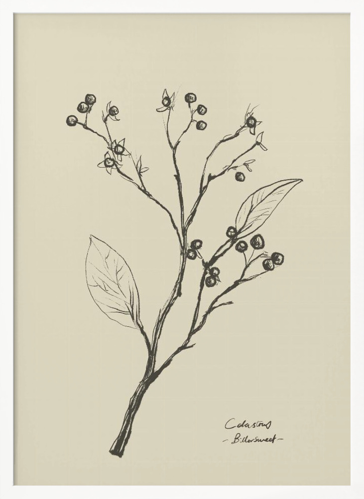 Poster - Floral 2 white wood poster frame