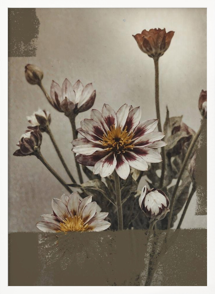 Poster - 5 Vintage Flowers white wood poster frame