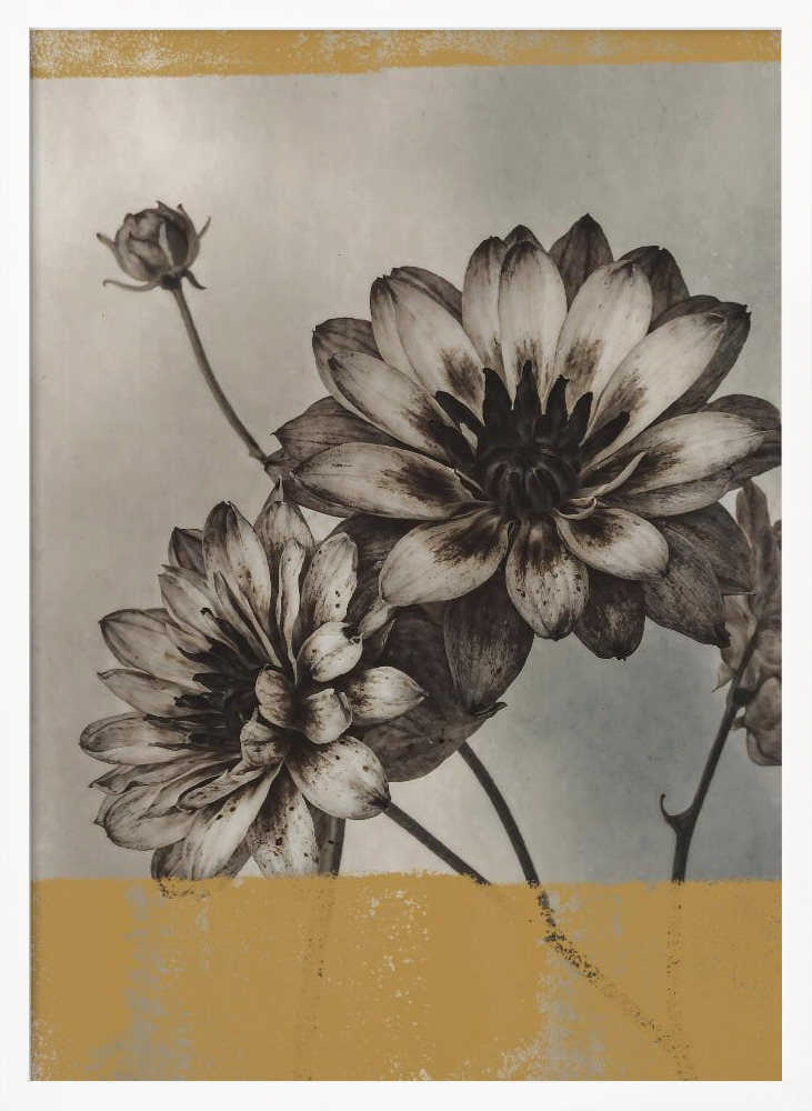 Poster - Vintage Flowers No.6 white wood poster frame