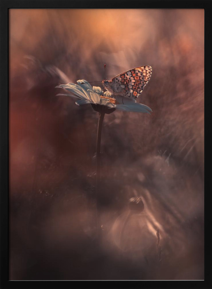 Poster - Pyrotechnics posterrahmen aus dunklem Holz