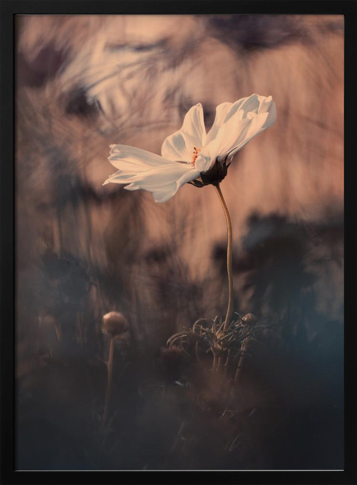 Poster - The Bride dark wood poster frame