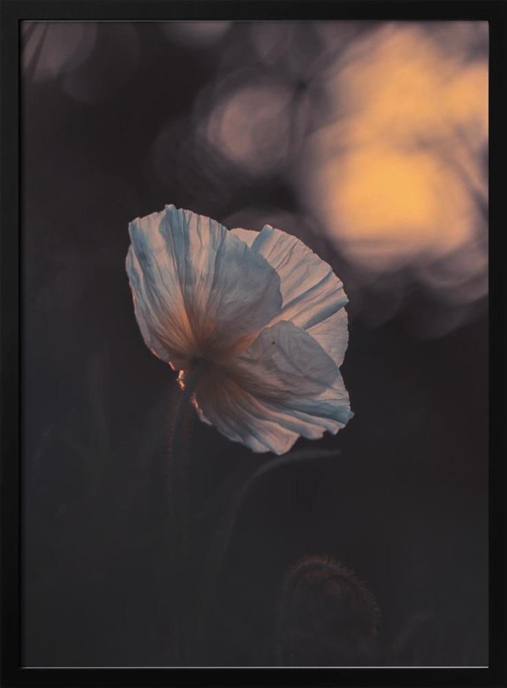 Poster - Last Ray dark wood poster frame