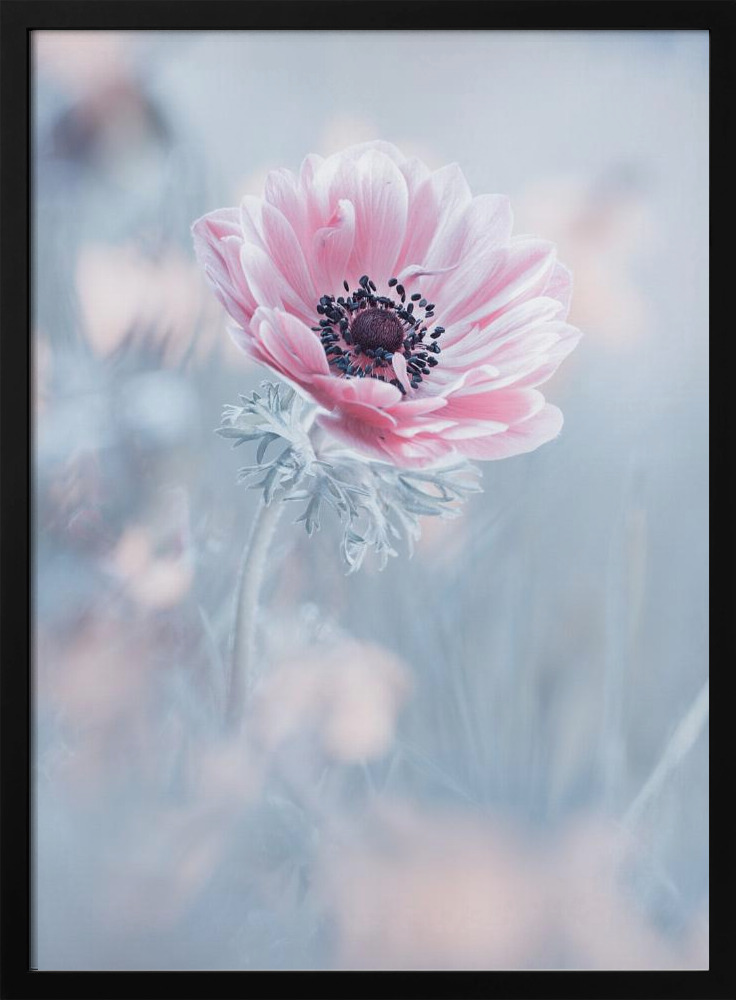 Poster - La reine de neiges dark wood poster frame