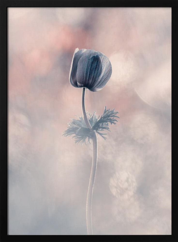 Poster - Soliste dark wood poster frame