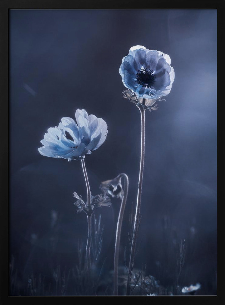 Poster - Meanwhile, oustide walls dark wood poster frame