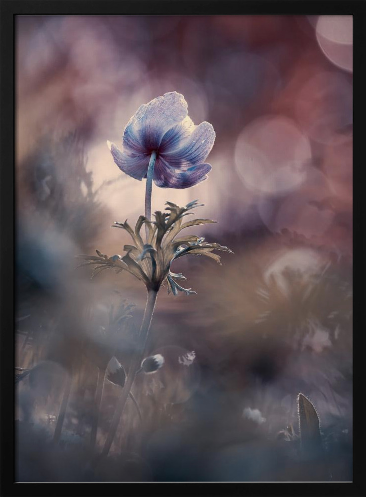 Poster - A brighter future dark wood poster frame