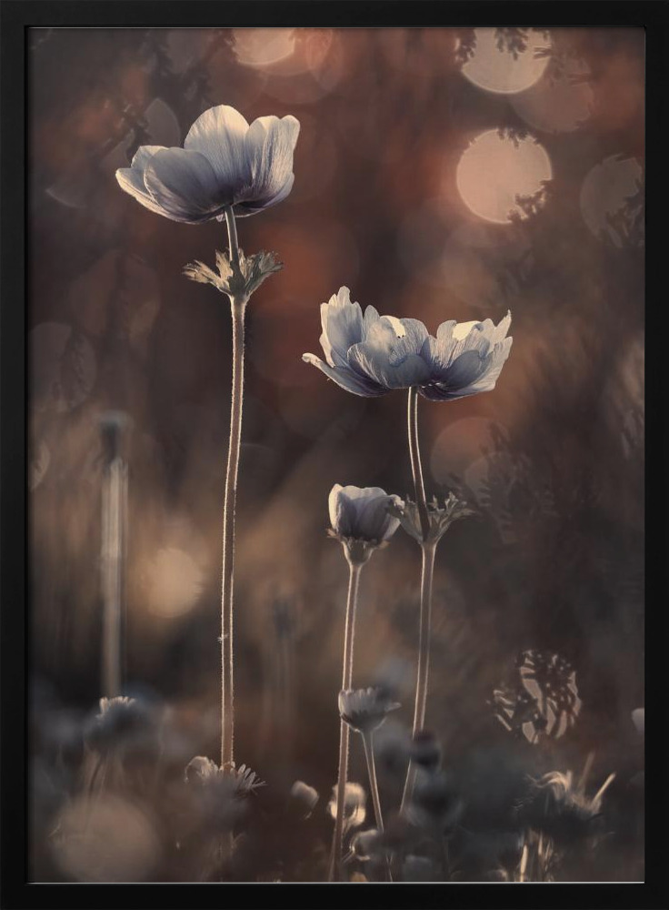 Poster - Ensemble dark wood poster frame