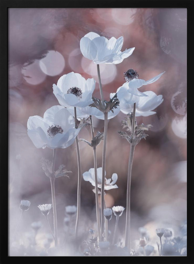 Poster - All the flowers of all the tomorrows are in the seeds of today dark wood poster frame