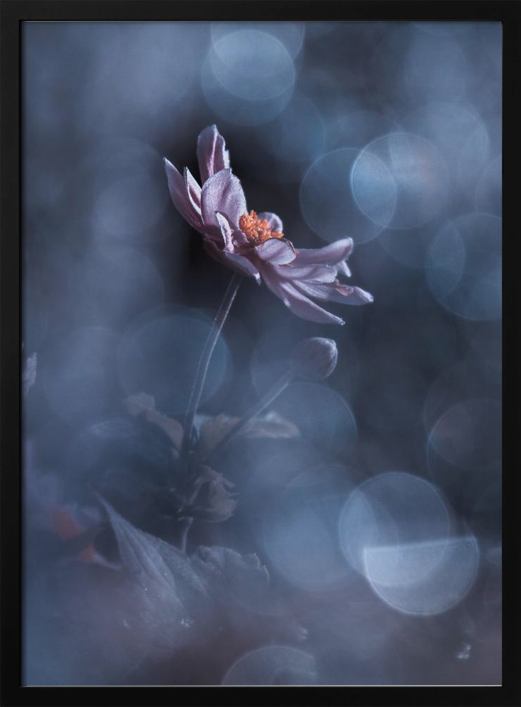 Poster - Dancing in the dark dark wood poster frame