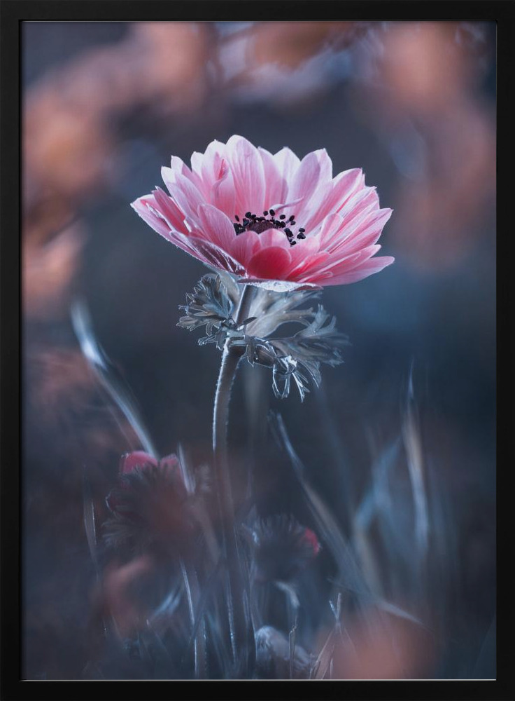 Poster - Standing in beauty dark wood poster frame