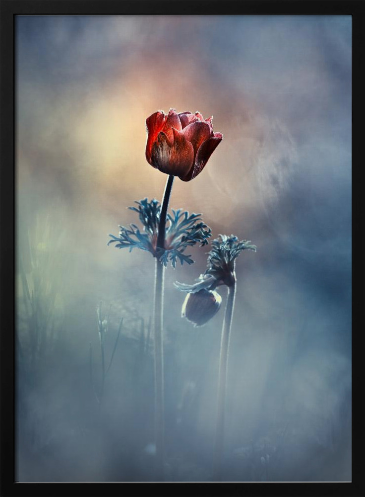 Poster - Where poetry and memories remain dark wood poster frame