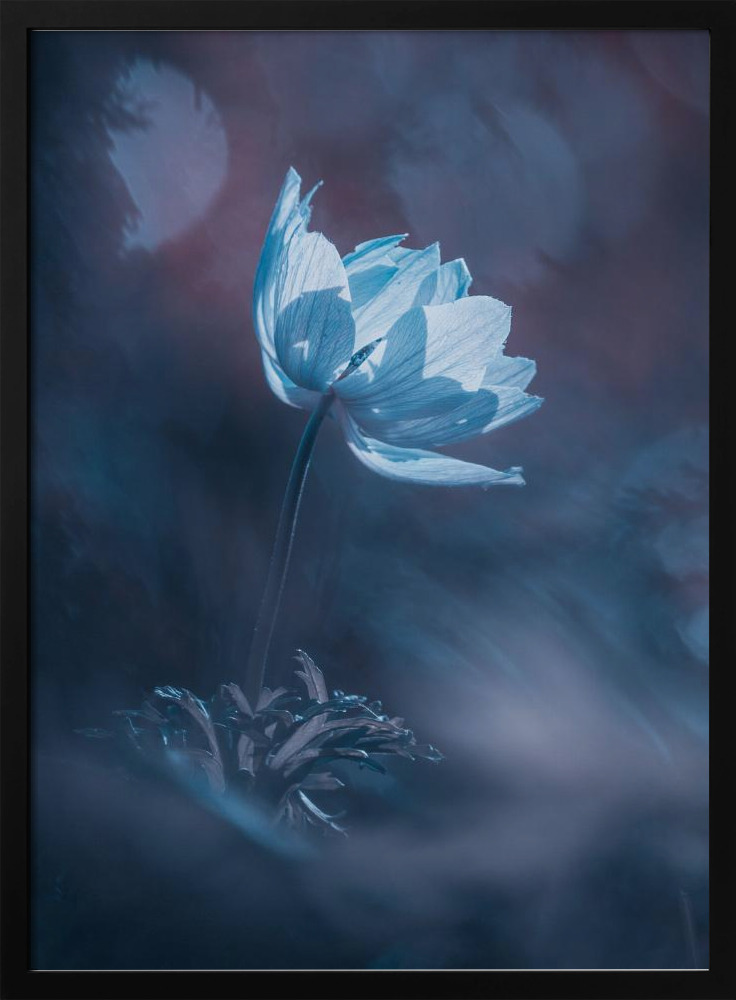 Poster - Dream on dark wood poster frame