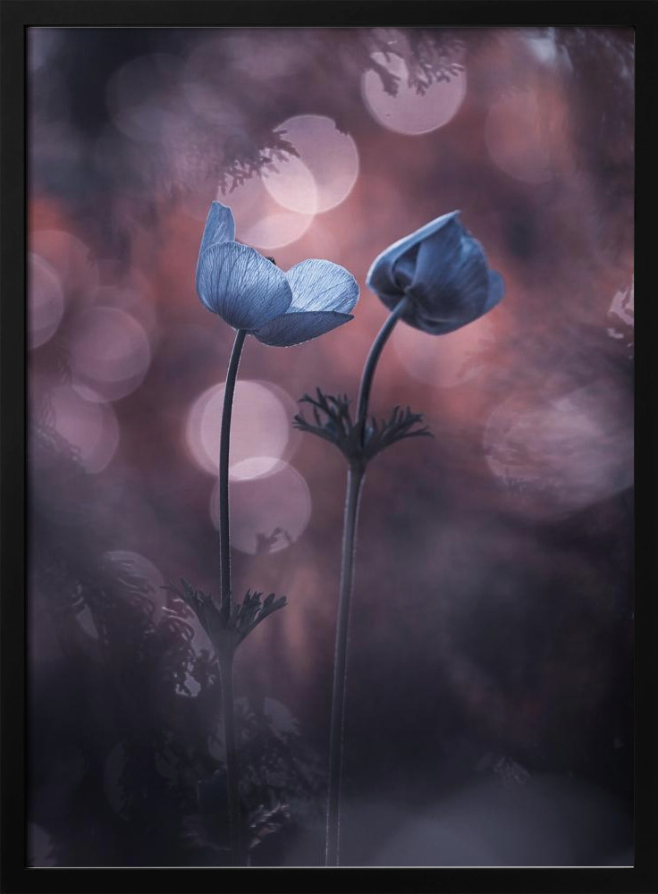 Poster - Why does my heart feel so bad dark wood poster frame