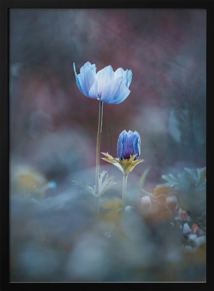 Poster - Growing Up dark wood poster frame