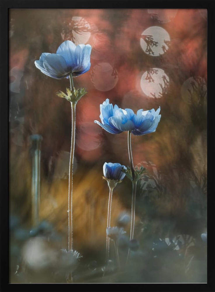 Poster - A riot of colors in a grey and dreary world dark wood poster frame