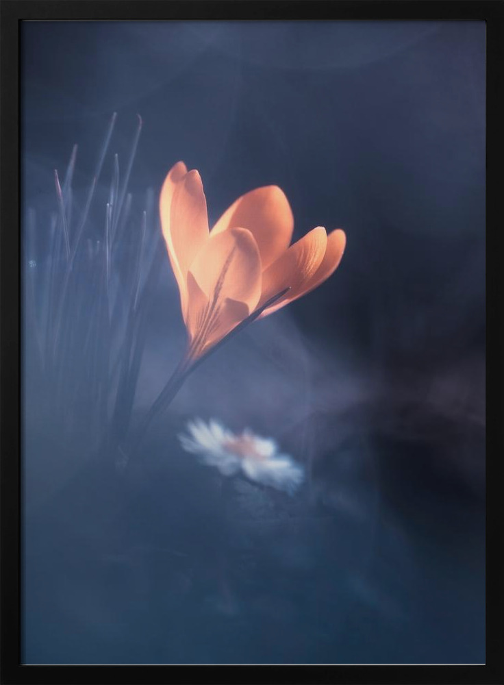 Poster - Upanishad dark wood poster frame