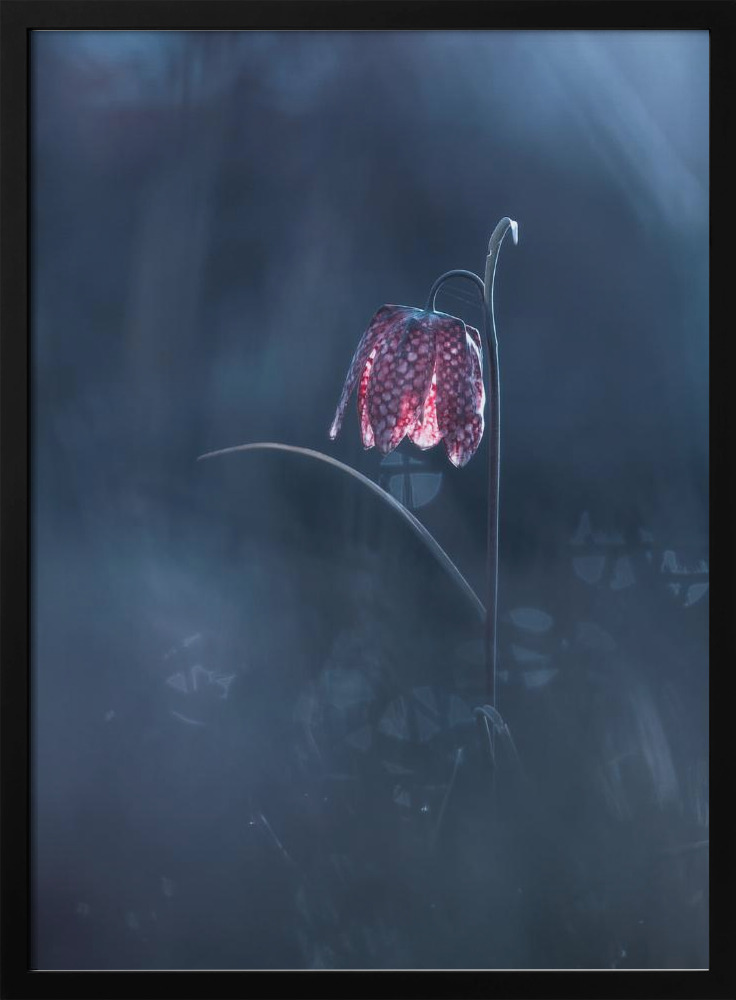 Poster - Ephemeral Fantasy dark wood poster frame