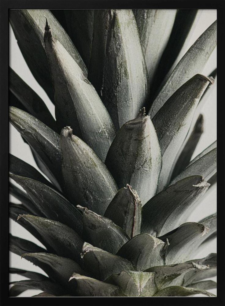 Poster - Pineapple close up dark wood poster frame