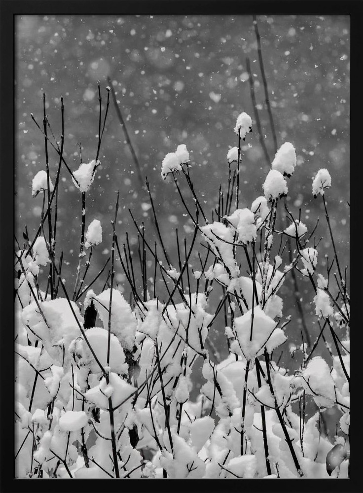 Poster - Happy New Year dark wood poster frame