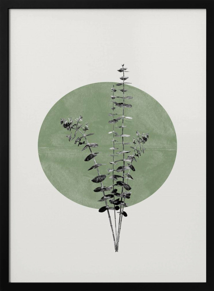 Póster - Eucalyptus and Green Moon dark wood poster frame