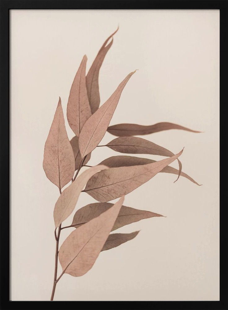 Poster - Dried Eucalyptus dark wood poster frame