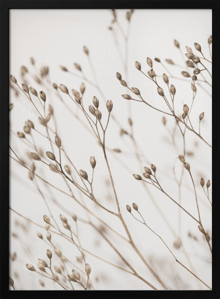 Poster - Wild Grass dark wood poster frame