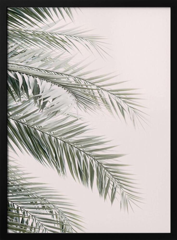 Poster - Blush Palm Leaves dark wood poster frame