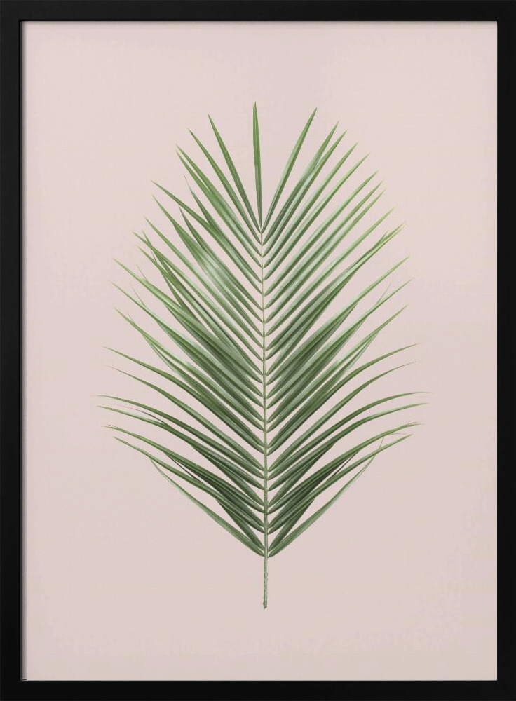 Plakat - Palm Leaf Blush ramka na plakat z ciemnego drewna