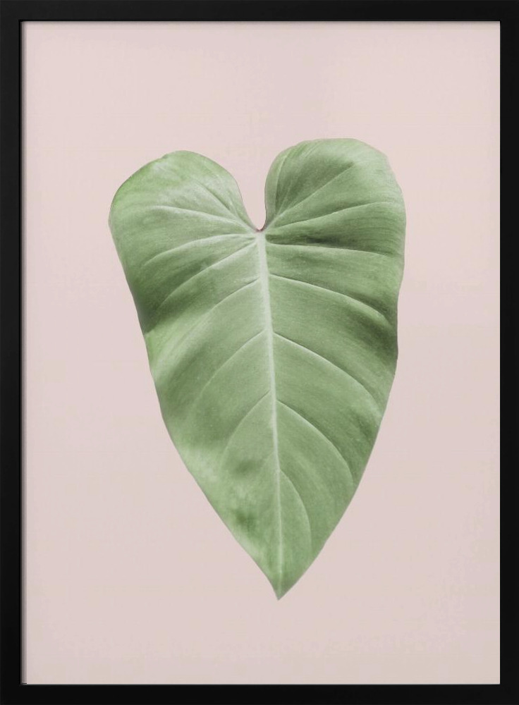 Plakat - Tropical Leaf Blush ramka na plakat z ciemnego drewna