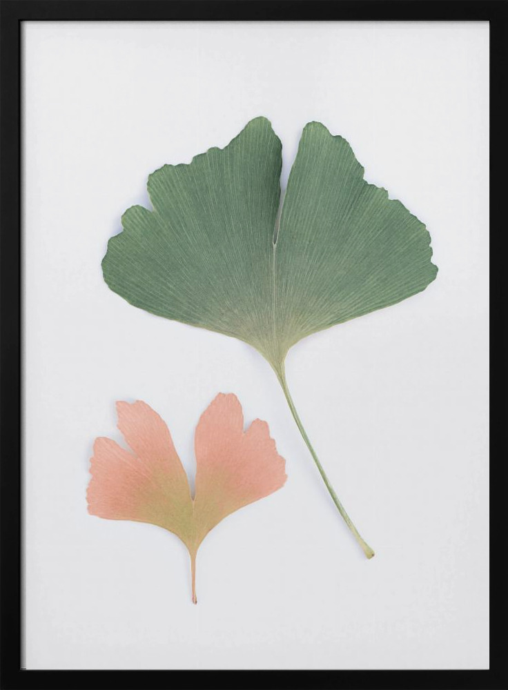 Plakat - Pastel Ginkgo ramka na plakat z ciemnego drewna
