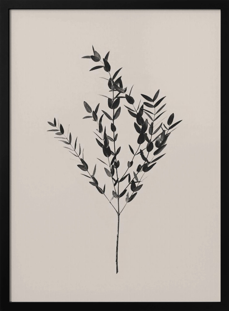 Poster - Inky Botanical dark wood poster frame