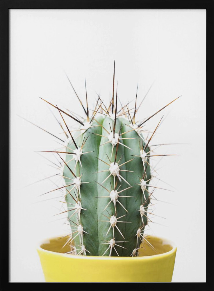 Poster - Spikey Cactus dark wood poster frame