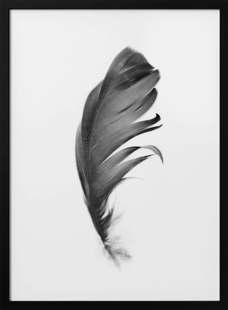 Poster - Feather dark wood poster frame