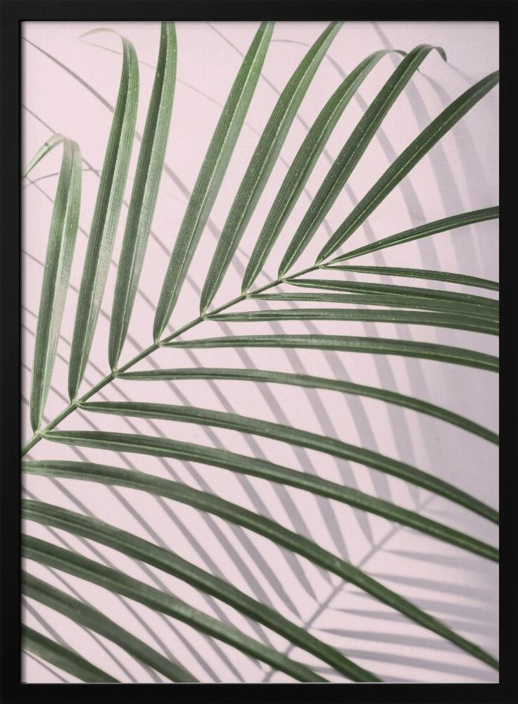 Plakat - Palm Leaf Shadow ramka na plakat z ciemnego drewna
