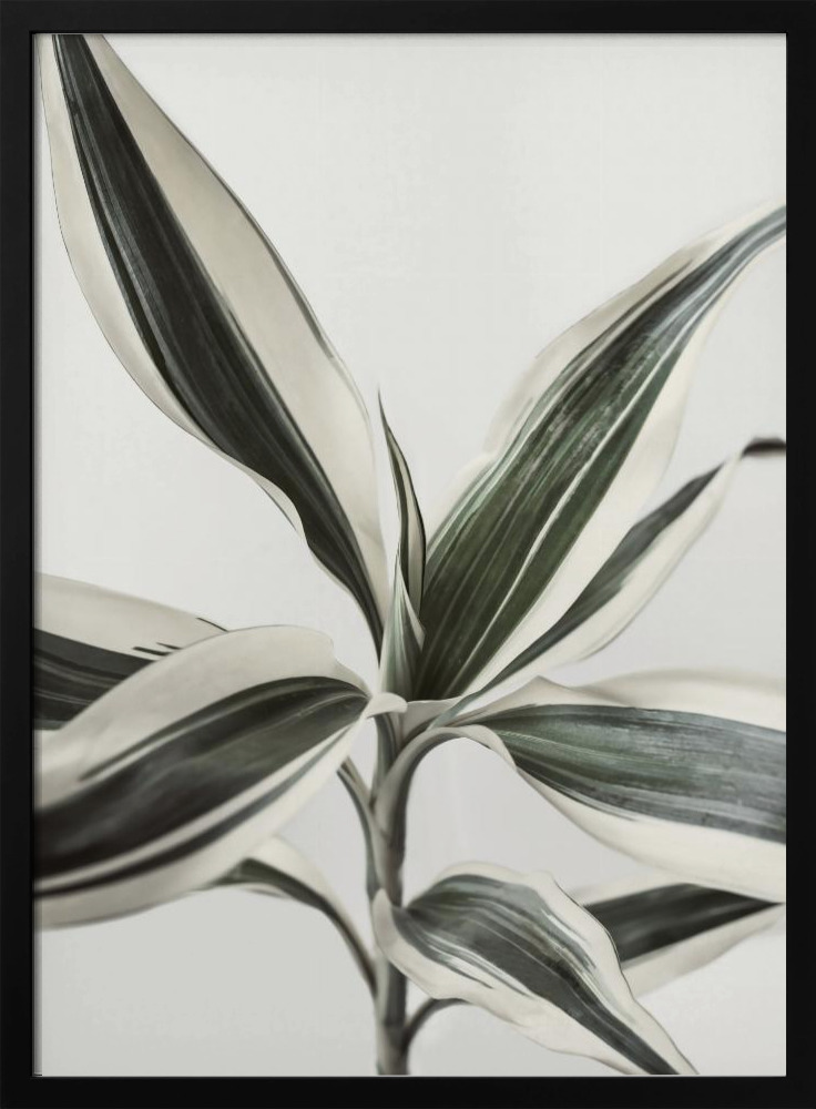 Plakat - Foliage ramka na plakat z ciemnego drewna