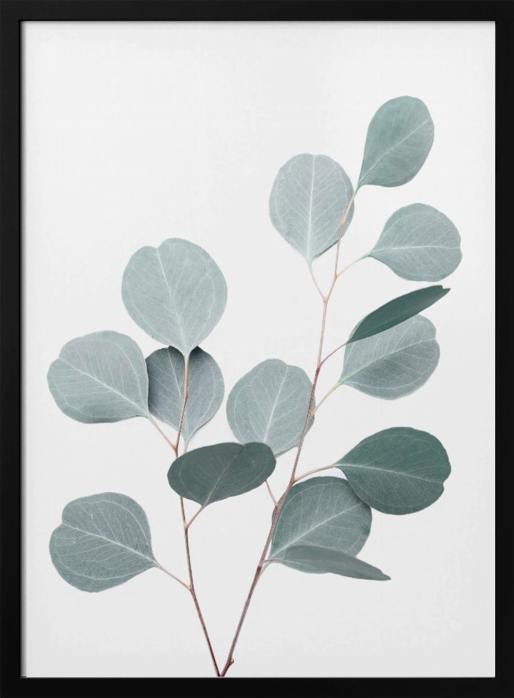 Poster - Silverdollar dark wood poster frame