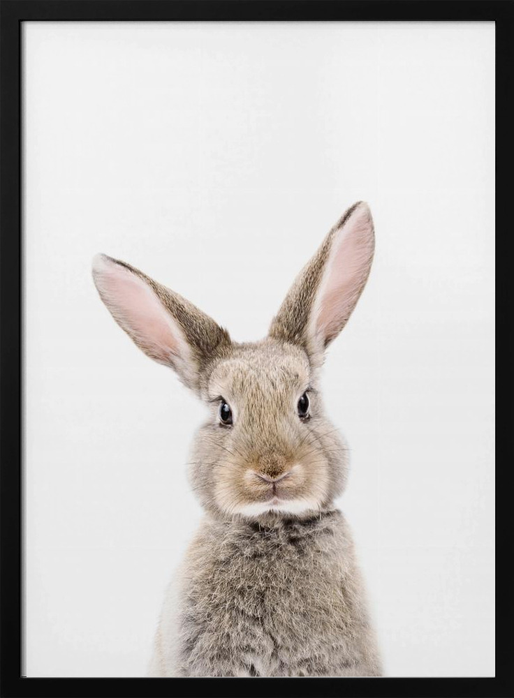 Plakat - Baby Rabbit ramka na plakat z ciemnego drewna
