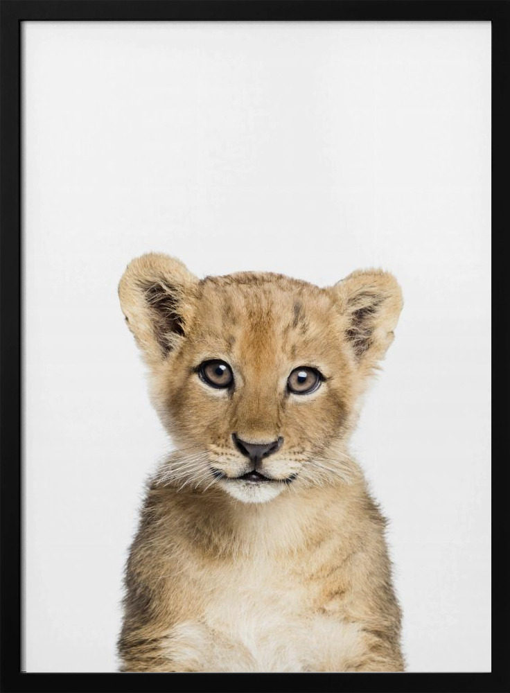Plakat - Baby Lion ramka na plakat z ciemnego drewna