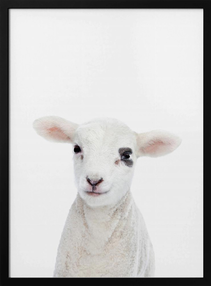 Poster - Baby Lamb dark wood poster frame