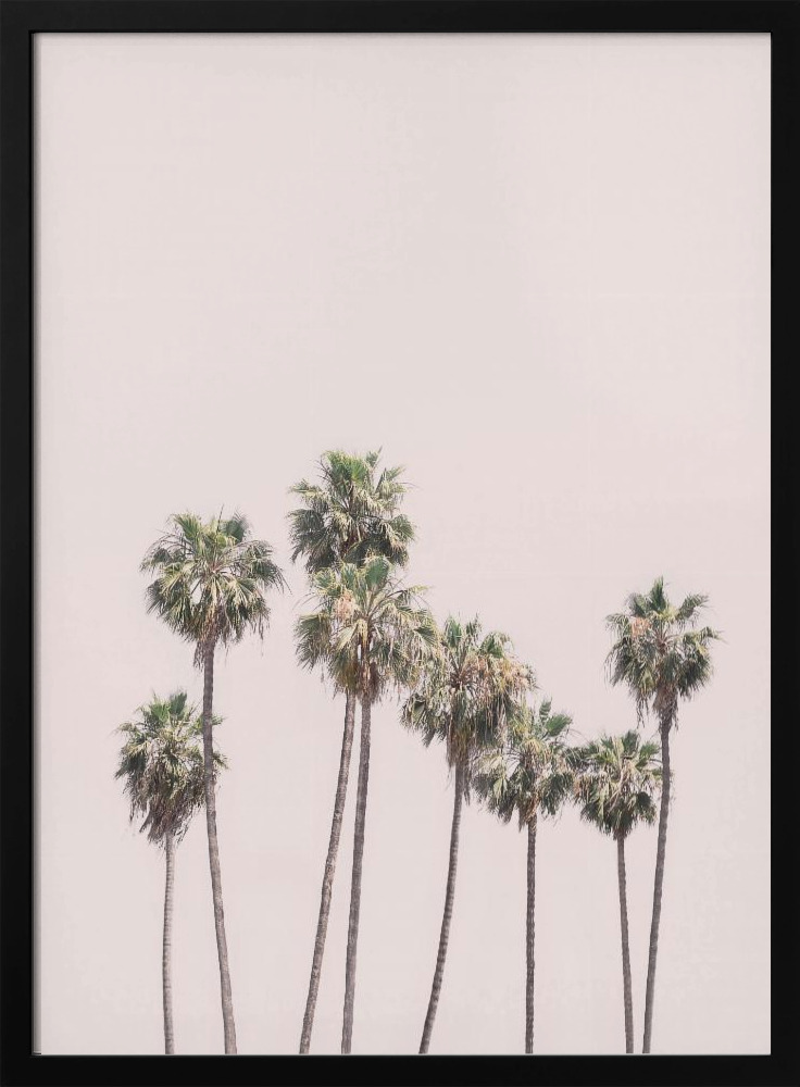 Poster - Blush Palms dark wood poster frame