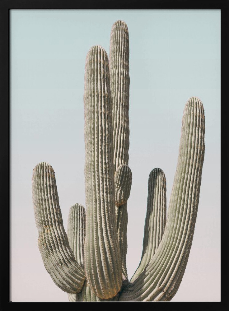 Poster - Saguaro posterframe van donker hout