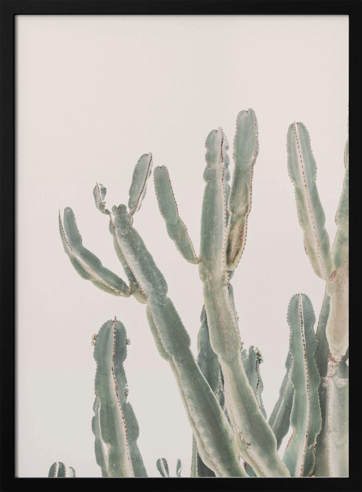 Poster - Sunrise Cactus posterframe van donker hout