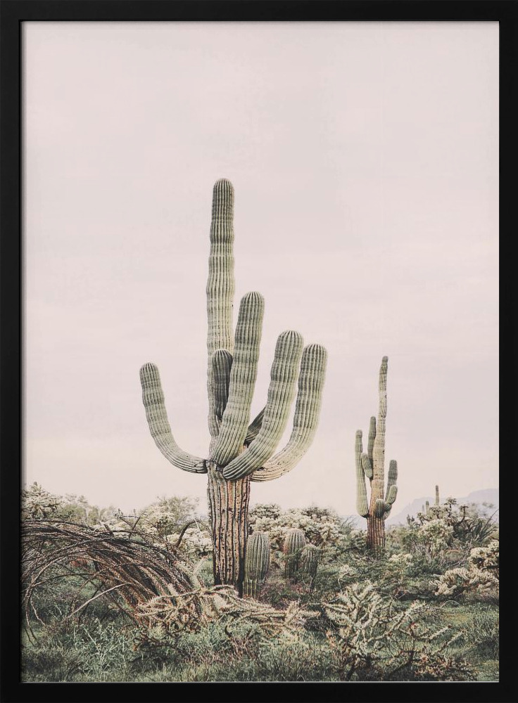 Poster - Pink Saguaro dark wood poster frame