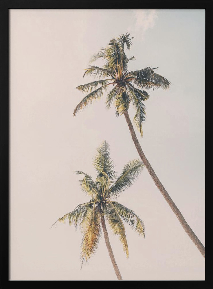 Poster Tropical Palms - Affisch posterram i mörkt trä