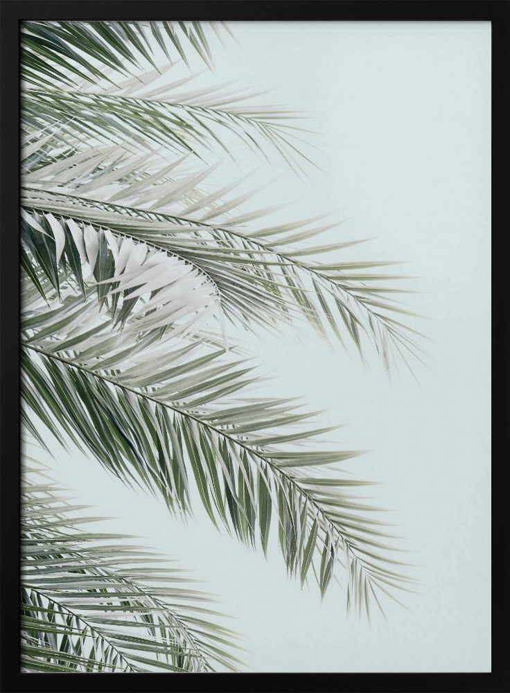 Juliste - Blue Palms tumma puu julisteen kehys