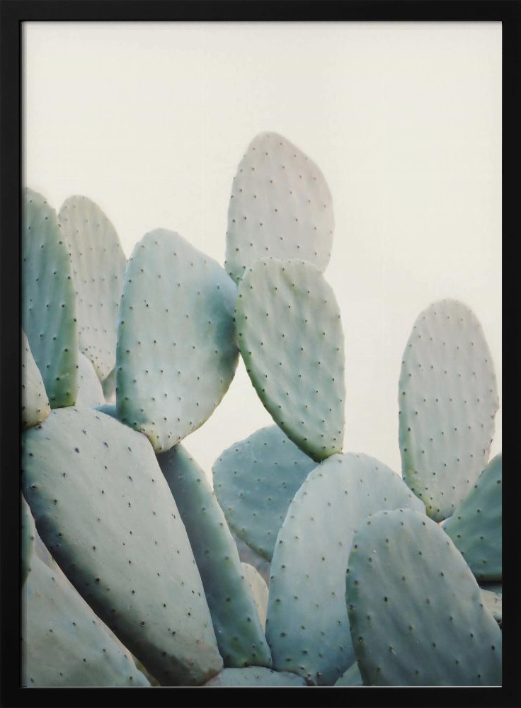 Poster - Pastel Cacti posterframe van donker hout