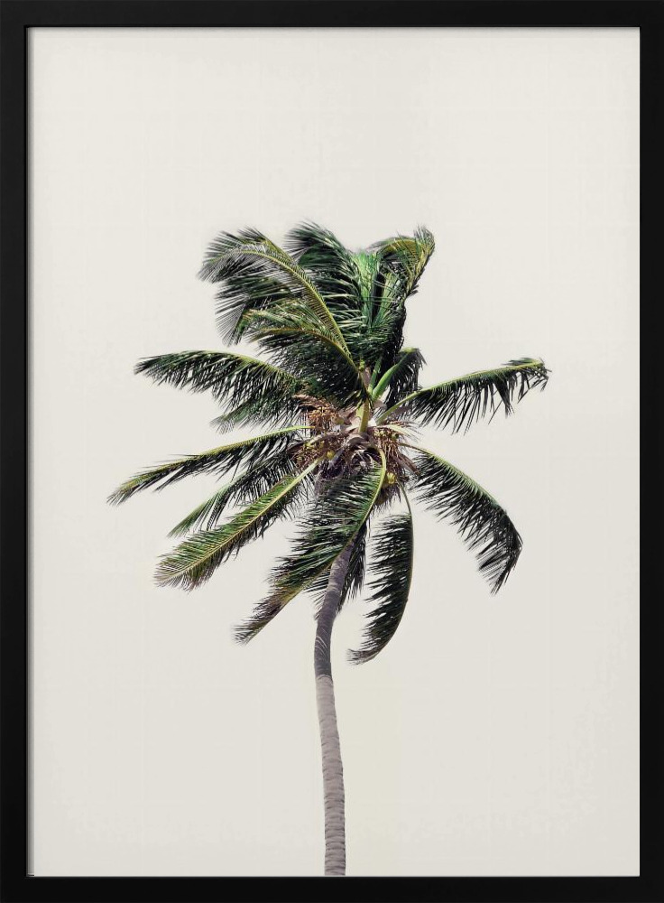 Poster - Windy Palm Tree dark wood poster frame