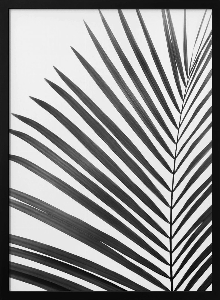 Plakat - BW Palm Leaf ramka na plakat z ciemnego drewna