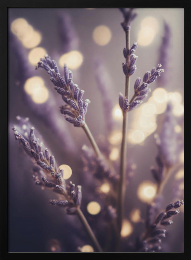Poster - Lavender Detail dark wood poster frame