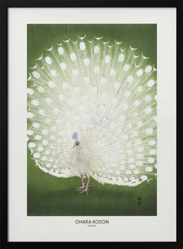Poster - Peacock - Cropped dark wood poster frame